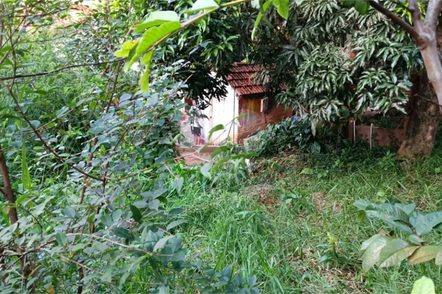 Terreno a Venda em Pirituba