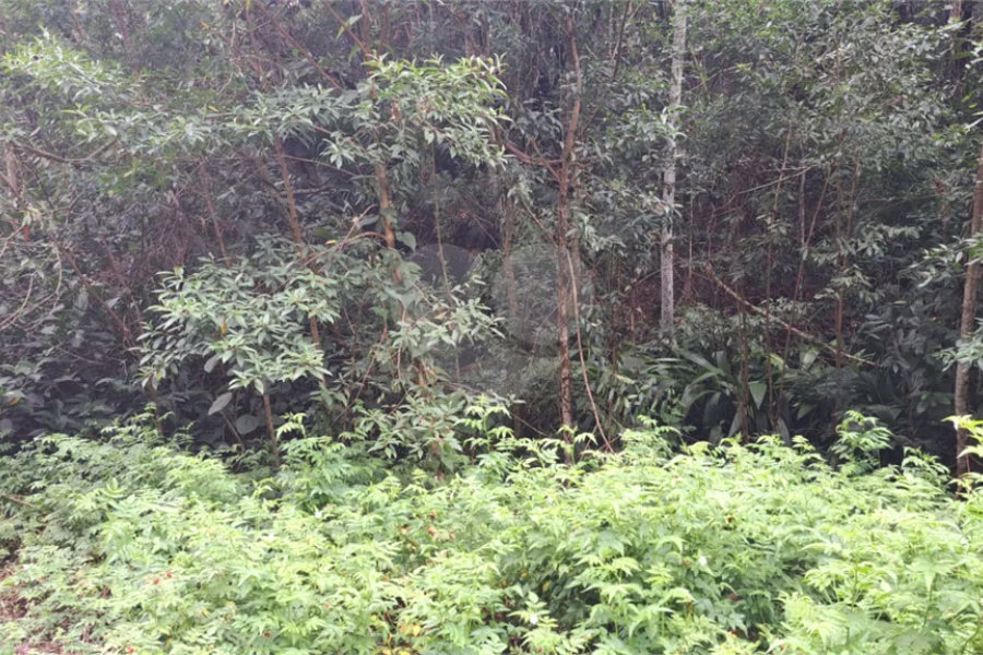 Terreno à venda no condomínio Campos de Mairiporã Gleba 1, Mairiporã - SP