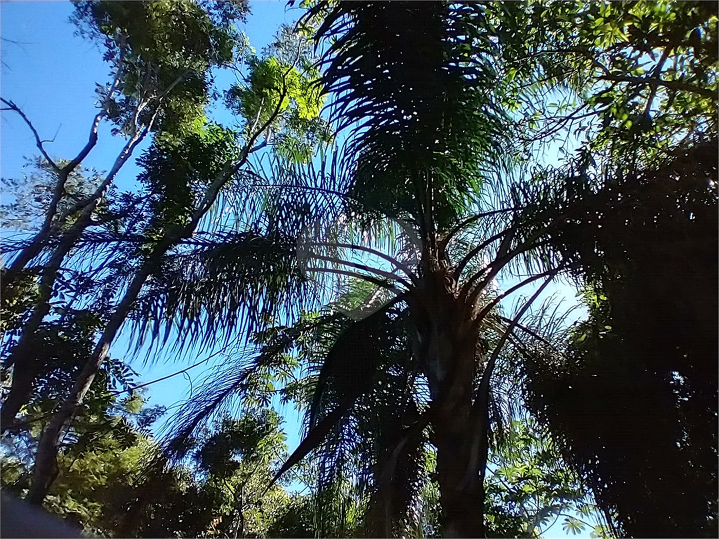 Terreno à venda em Vila Verde, Armação dos Búzios, RJ