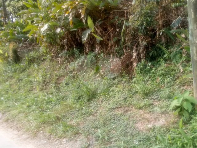 Terreno à venda em Caraguatá, Mairiporã, SP