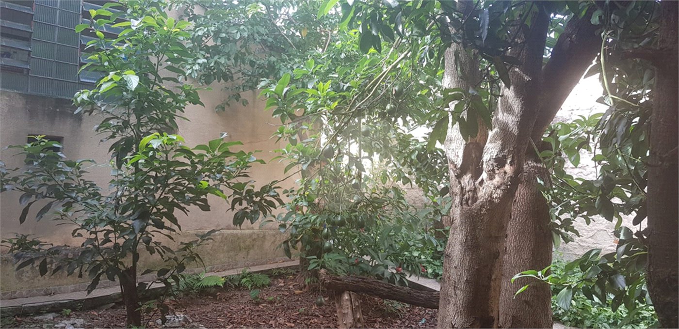 Sobrado à venda com 3 quartos, sendo 1 suíte, em Vila Nova Cachoeirinha, São Paulo, SP