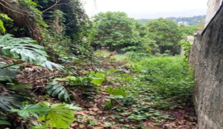 Terreno à venda em Jardim Leonor, São Paulo, SP