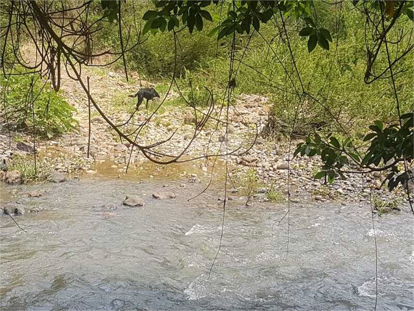 Fazenda à venda com 2 quartos em Canabrava, João Pinheiro, MG
