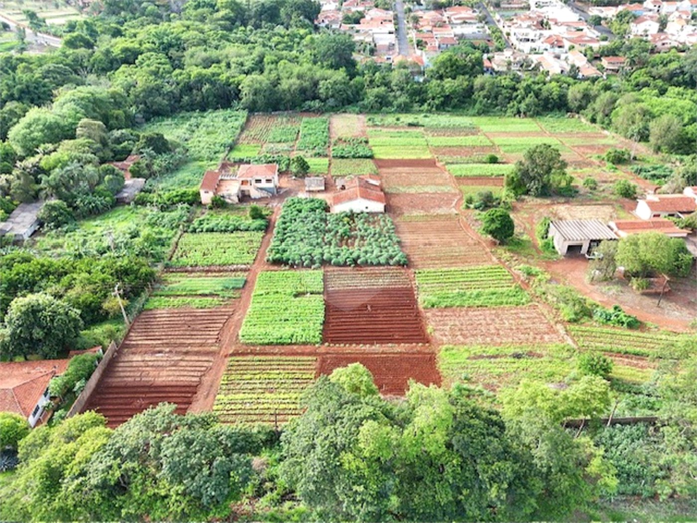 Terreno à venda em Jardim Itaú, Ribeirão Preto, SP