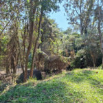 Terreno à venda em Horto, São Paulo, SP