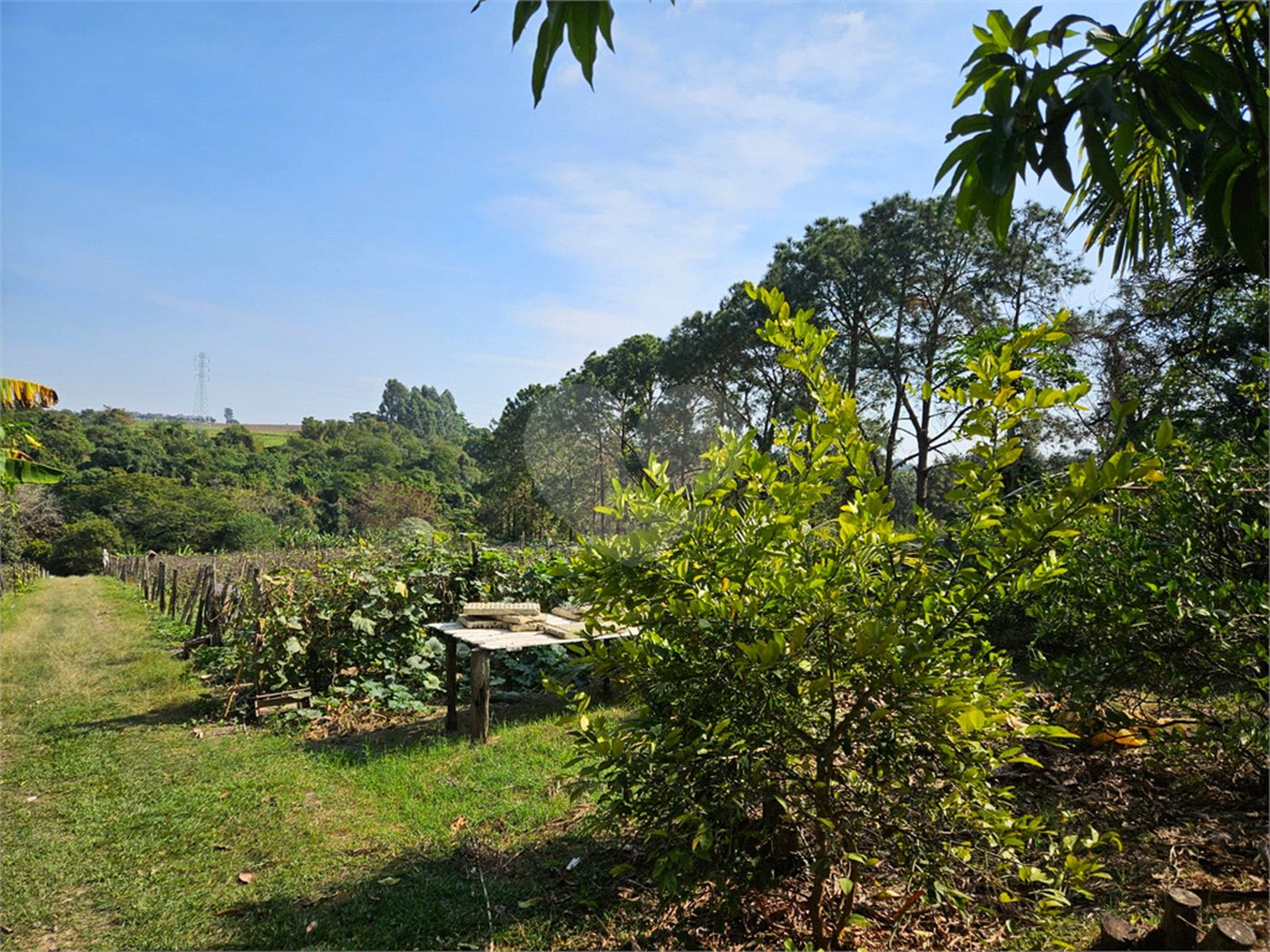 Sítio à venda em Mato Dentro, Indaiatuba, SP