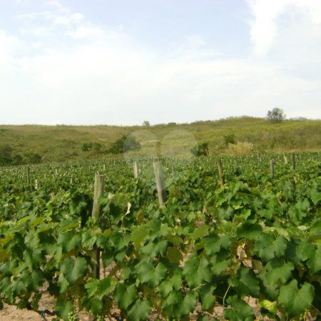 Área de Terra à venda em Colinas do Mosteiro de Itaici, Indaiatuba, SP