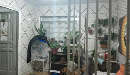 Casa à venda com 4 quartos em Vila Gustavo, São Paulo, SP