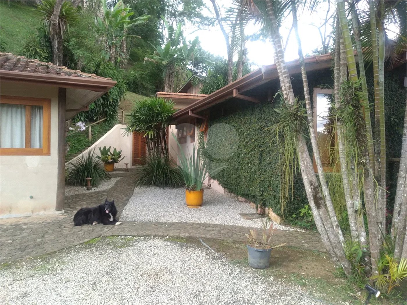 Sítio dos Sonhos em São Francisco Xavier – 10 Alqueires de Pura Natureza!