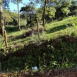 Área de Terra à venda em Alto da Serra (mailasqui), São Roque, SP
