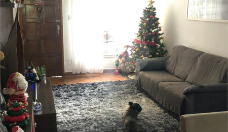 Casa à venda com 1 suíte em Jabaquara, São Paulo, SP
