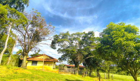 Sítio à venda com 3 quartos em Campo de Boituva, Boituva, SP