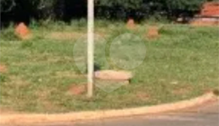 Terreno à venda no Centro, Jardim, MS