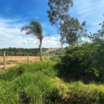 Sítio à venda com 3 quartos em Campo de Boituva, Boituva, SP