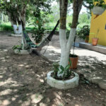 Chácara à venda com 2 quartos, sendo 1 suíte, em Área Rural de Cuiabá, Cuiabá, MT