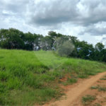 GLEBAS RURAIS EM PIRACAIA A PARTIR 20.000 M², EXCELENTE PARA CHÁCARAS E FAZENDINHAS