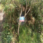 Terreno à venda em Vila São Paulo, Mogi das Cruzes, SP