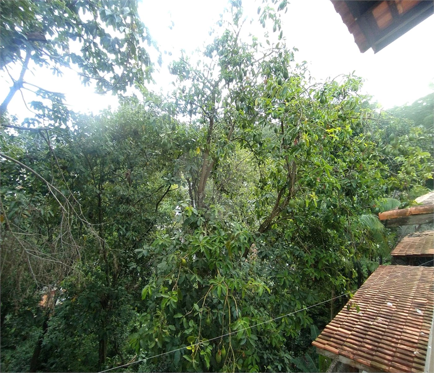 Casa de Vila para alugar com 3 quartos, sendo 1 suíte, em Serra da Cantareira, São Paulo, SP