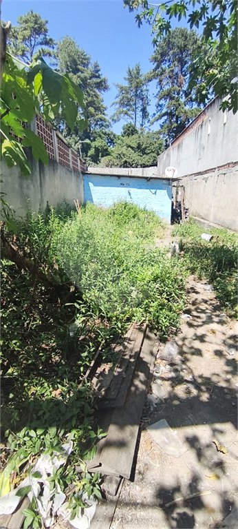 Terreno à venda em Vila Imaculada, Guarulhos, SP