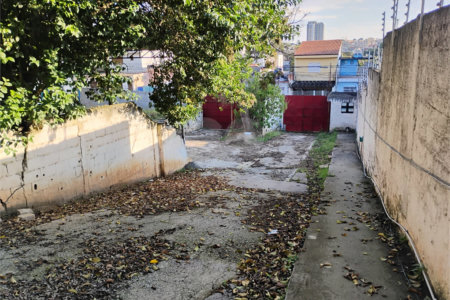 Terreno para alugar em Vila Santa Catarina, São Paulo, SP