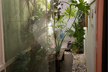 Casa com 4 Dormitórios e área de lazer com piscina