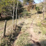Sítio à venda com 3 quartos em Bairro do Cambará, São Roque, SP