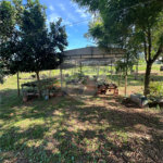 Chácara à venda em Jardim Universitário, Ponta Porã, MS