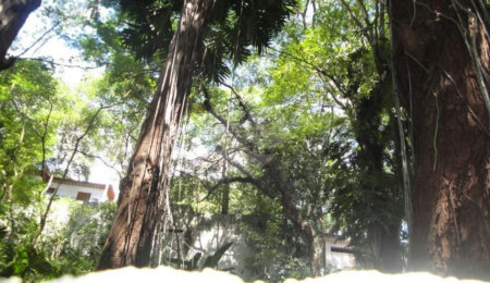 Terreno à venda em Barro Branco (zona Norte), São Paulo, SP
