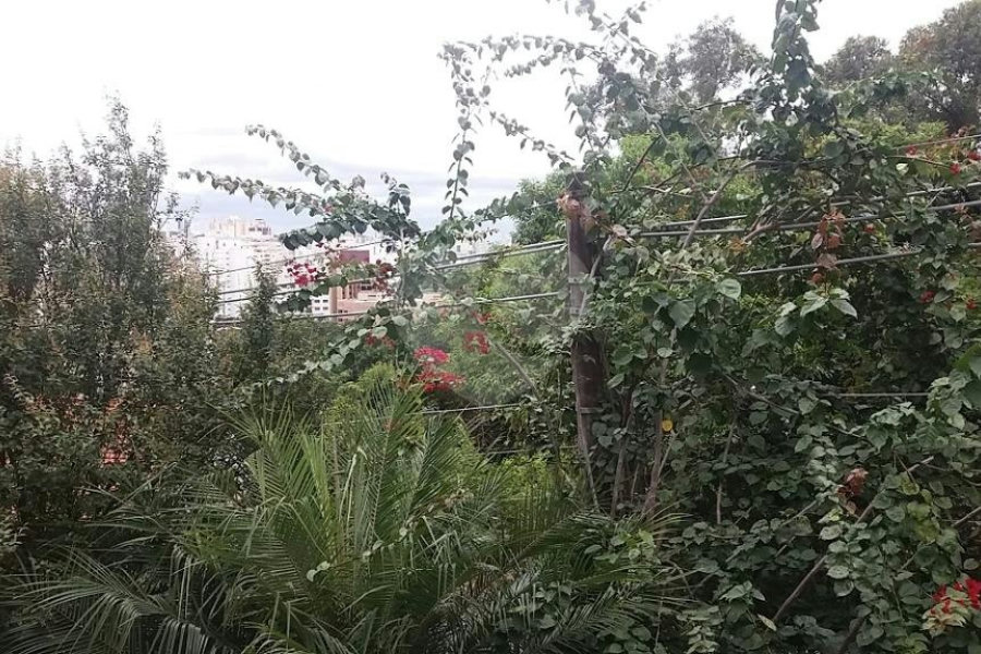 Casa à venda com 6 quartos, sendo 3 suítes, em Jardim São Bento, São Paulo, SP