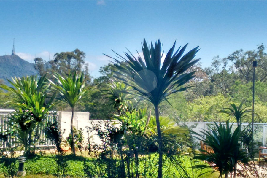 Apartamento à venda com 3 quartos, 107 m²- Rua William Furneau, - Condomínio Sítio Anhanguera - Edifício Beija Flor - Pirituba