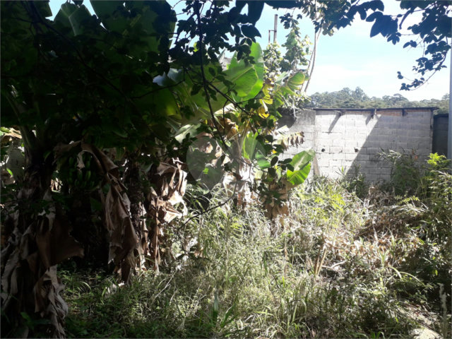 Casa à venda com 3 quartos, sendo 1 suíte,  em Tremembé, São Paulo, SP