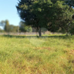 Terreno à venda em Santa Claudina, Vinhedo, SP