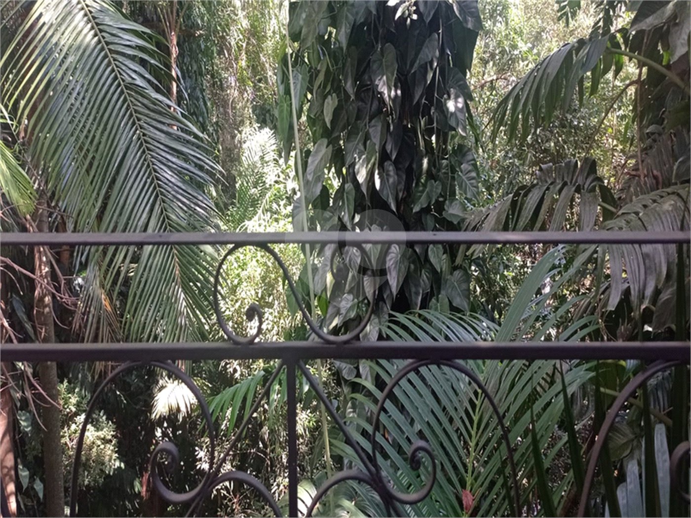 Casa Térrea à venda com 3 quartos, sendo 1 suíte, em Serra da Cantareira, Mairiporã, SP