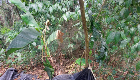 Condomínio à venda em Caraguatá, Mairiporã, SP