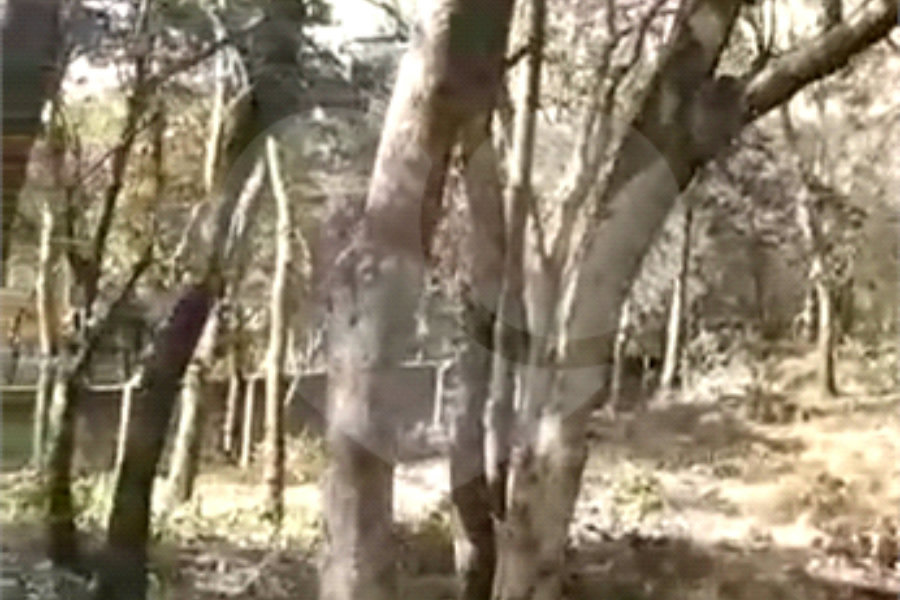 Terreno à venda em Luiz Fagundes, Mairiporã, SP