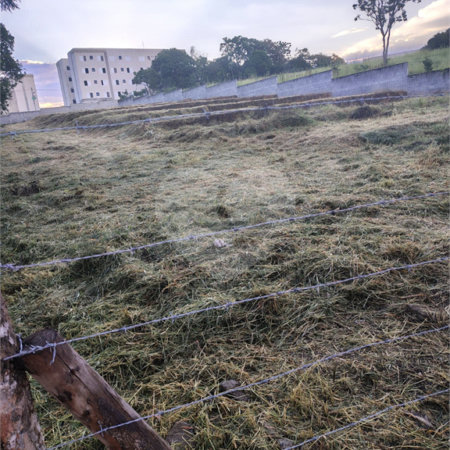 Terreno à venda em Botujuru, Mogi das Cruzes, SP