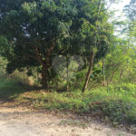 Terreno à venda em Bosque dos Eucalíptos, Atibaia, SP