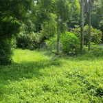 Terreno à venda em Horto, São Paulo, SP