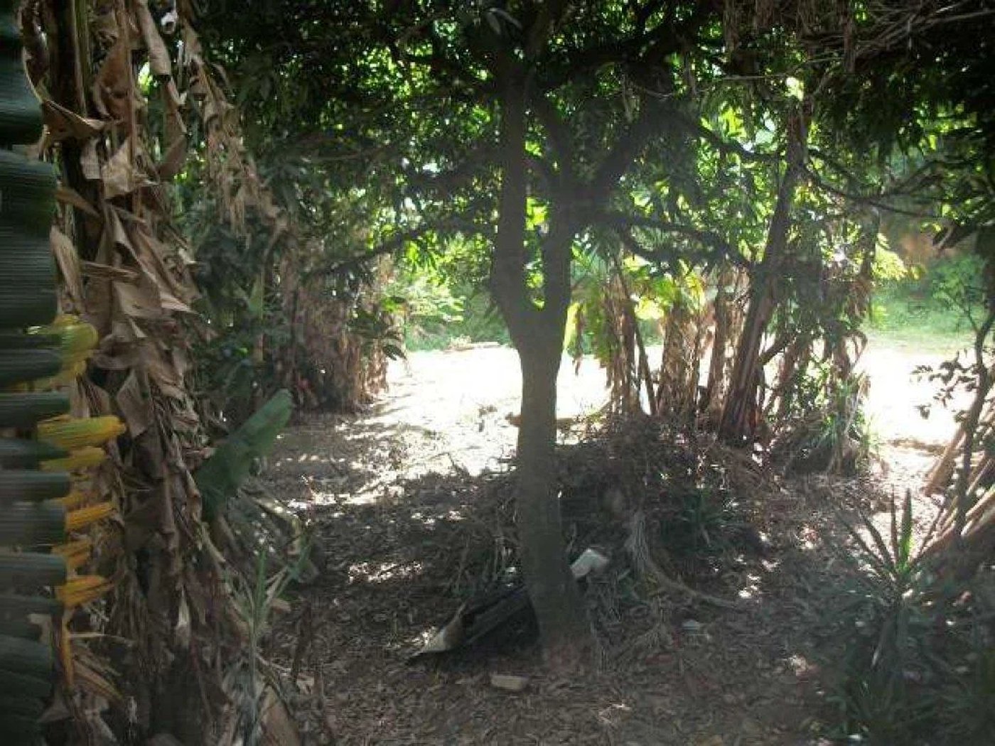 Terreno à venda em Jardim Jussara, São Paulo, SP