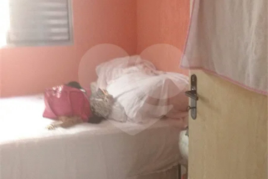 Casa à venda com 3 quartos, sendo 1 suíte, em Mandaqui, São Paulo, SP