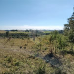 Sítio à venda com 3 quartos, sendo 1 suíte,  em Da Barra, Salto de Pirapora, SP
