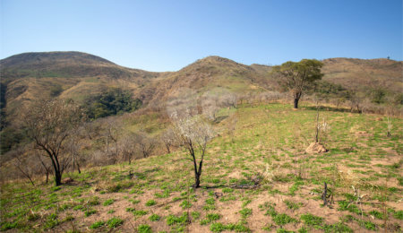 Terreno à venda em Recanto das Acácias, São Roque, SP