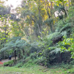 Terreno à venda no condomínio Alpes da Cantareira, Mairiporã - SP