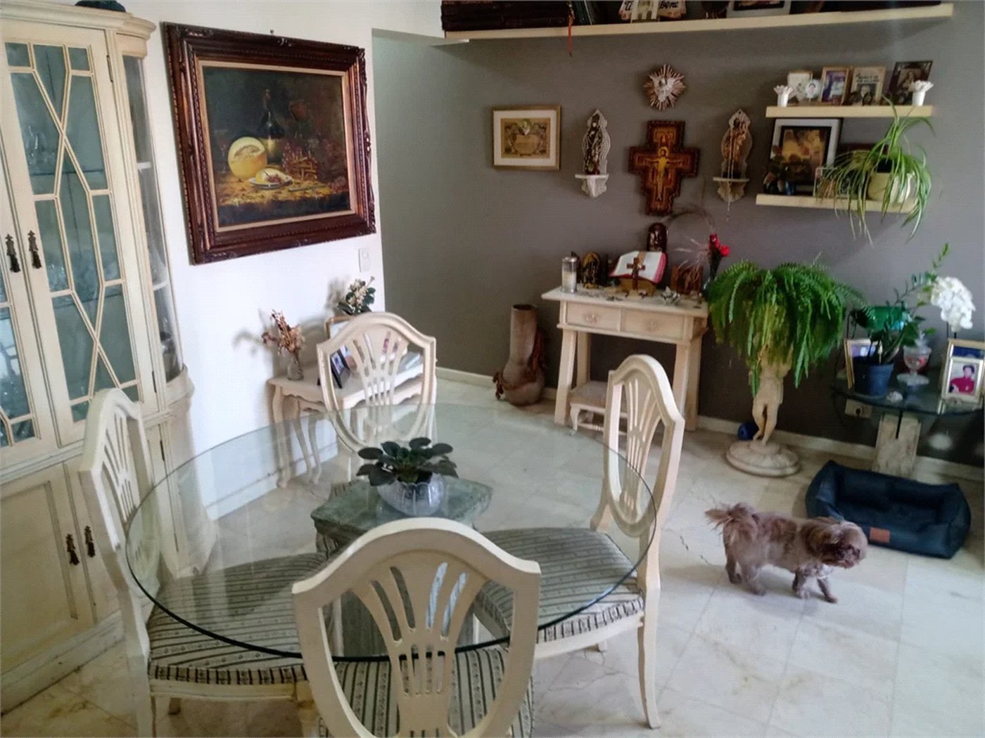 Apartamento à venda com 2 quartos, sendo 1 suíte,  em Vila Suzana, São Paulo, SP