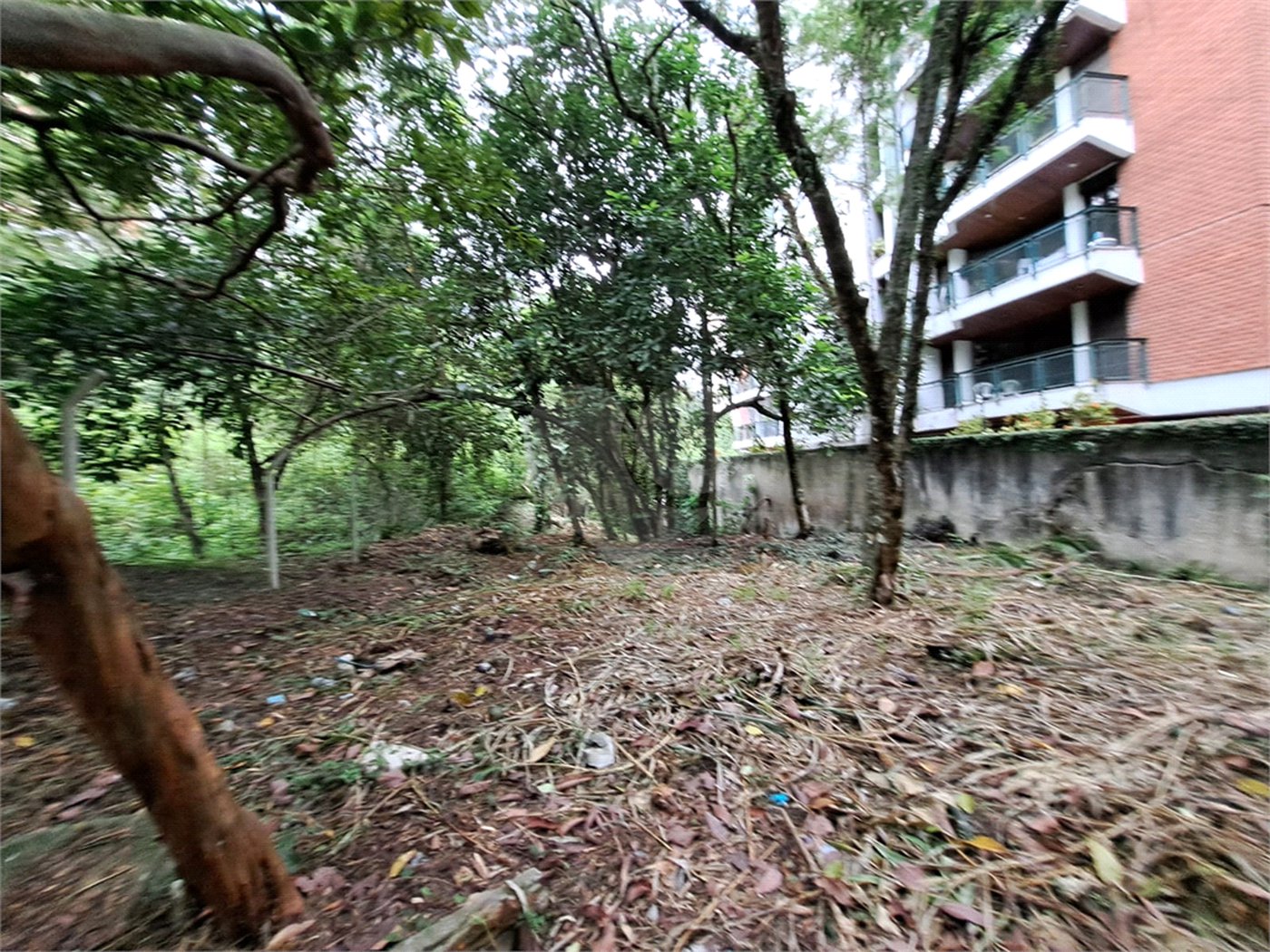 Terreno à venda em Jardim Ampliação, São Paulo, SP