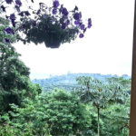 Sobrado à venda com 5 quartos, sendo 2 suítes,  em Serra da Cantareira, Mairiporã, SP