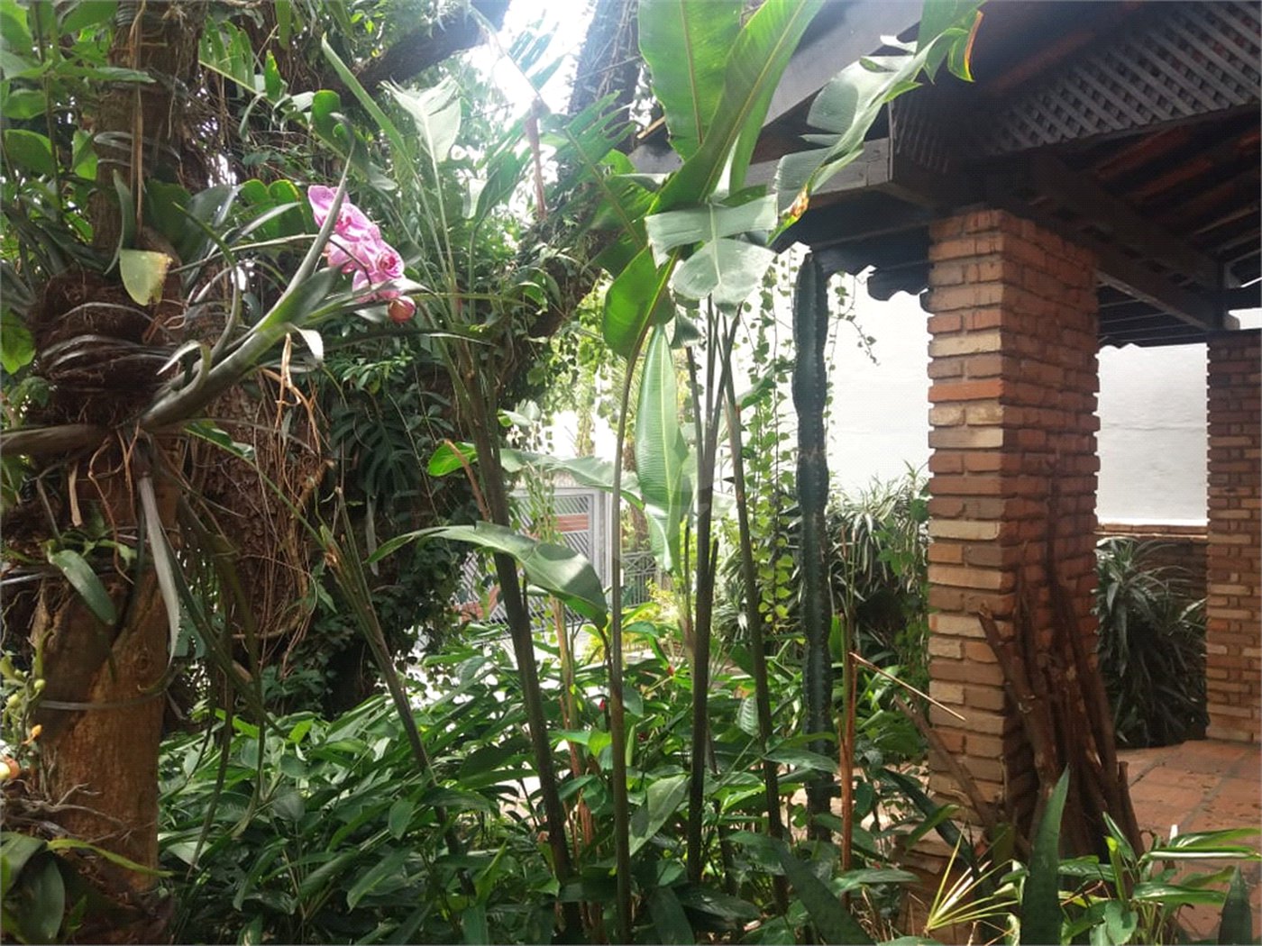 Casa à venda com 3 quartos, sendo 1 suíte, em Vila Cruzeiro, São Paulo, SP