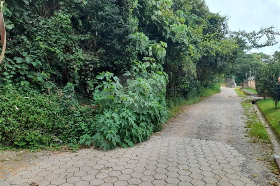 Terreno à venda em Serra da Cantareira, Mairiporã, SP
