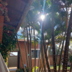 Casa à venda em Aparecida de São Manuel, São Manuel – SP, com projeto que valoriza conforto, iluminação natural e áreas de convivência.