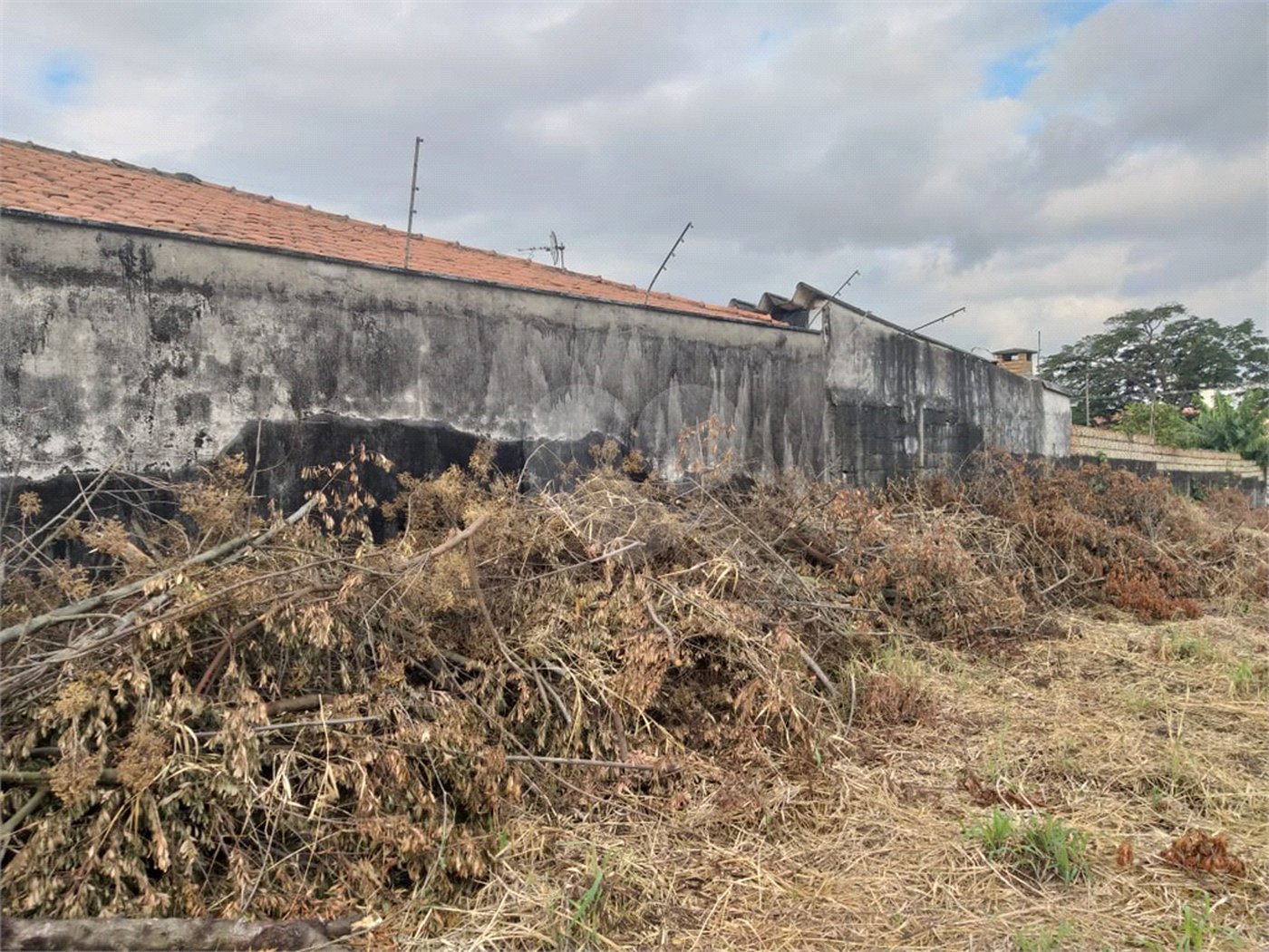 Terreno à venda com 1 suíte em Tucuruvi, São Paulo, SP